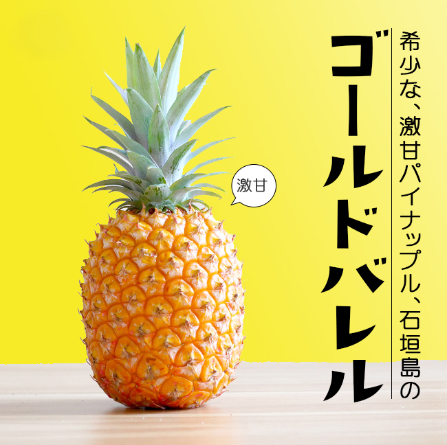 ゴールドバレル 大玉2玉入