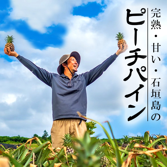 ピーチパイン 2玉入