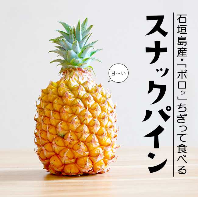 スナックパイン 2玉入