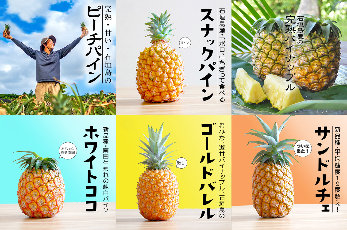 セイモリファームの商品一覧